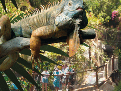 Jungle Park Tenerife