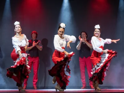 Flamenco Show